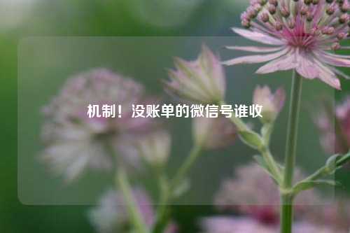 机制！没账单的微信号谁收