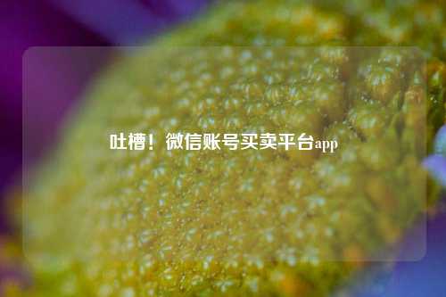 吐槽！微信账号买卖平台app