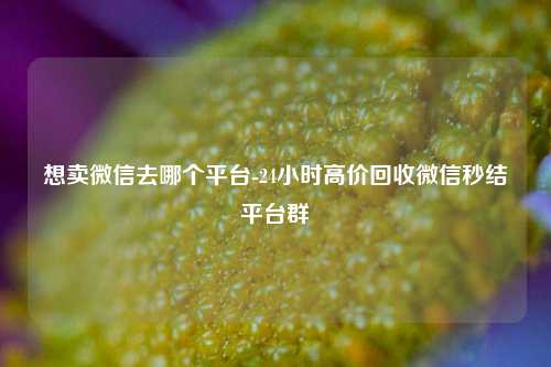 想卖微信去哪个平台-24小时高价回收微信秒结平台群
