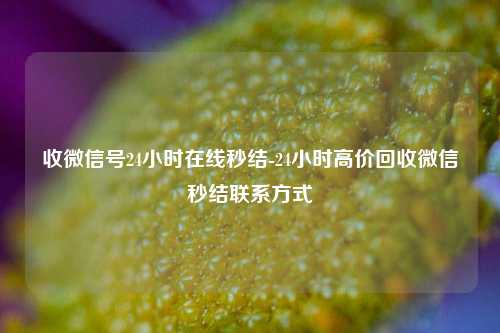 收微信号24小时在线秒结-24小时高价回收微信秒结联系方式