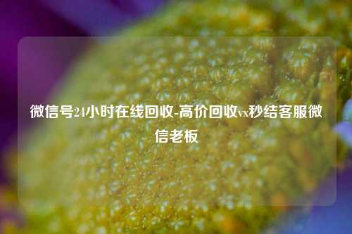 微信号24小时在线回收-高价回收vx秒结客服微信老板