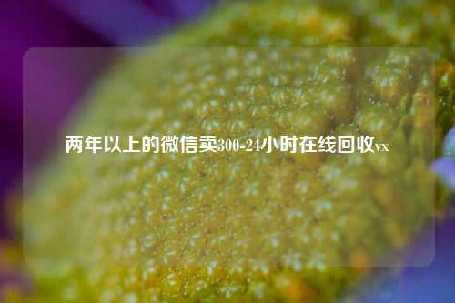 两年以上的微信卖300-24小时在线回收vx