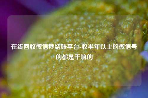 在线回收微信秒结账平台-收半年以上的微信号的都是干嘛的