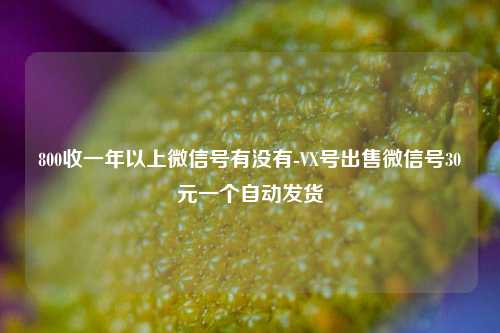 800收一年以上微信号有没有-VX号出售微信号30元一个自动发货