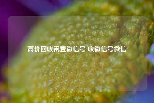 高价回收闲置微信号-收微信号微信