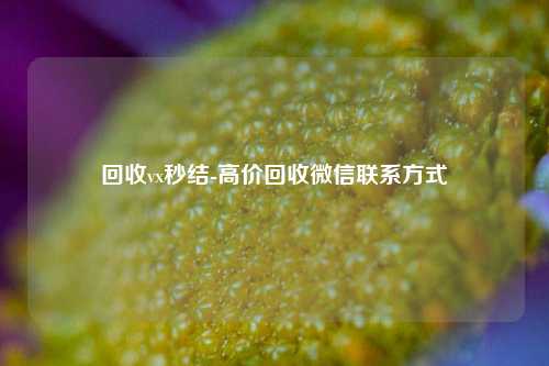 回收vx秒结-高价回收微信联系方式