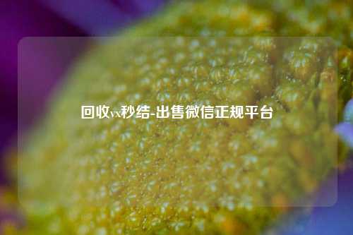 回收vx秒结-出售微信正规平台
