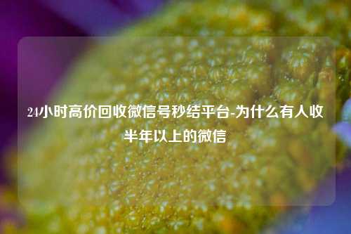 24小时高价回收微信号秒结平台-为什么有人收半年以上的微信